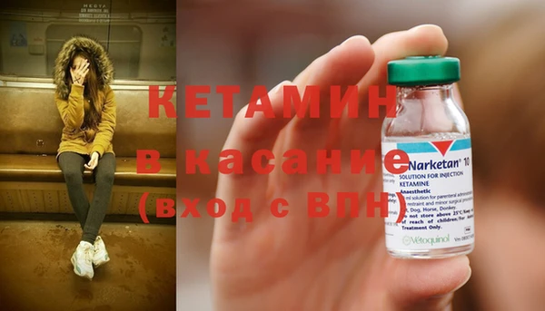 крисы Баксан