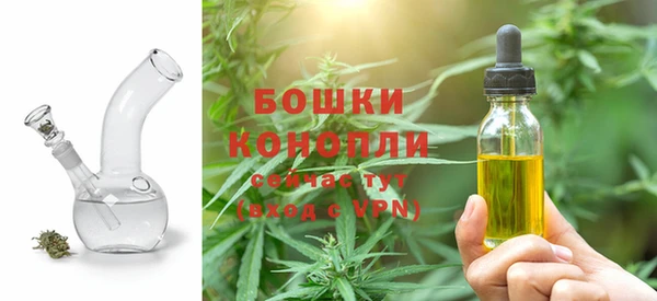 крисы Баксан