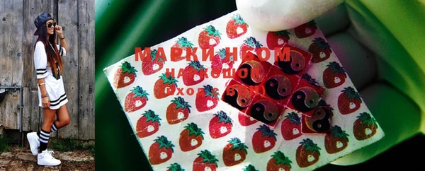 ГАЛЛЮЦИНОГЕННЫЕ ГРИБЫ Рославль