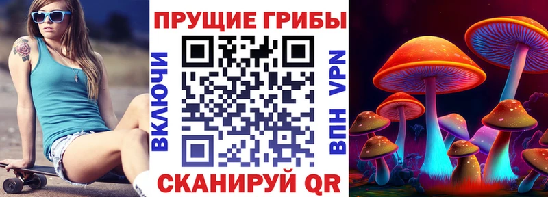 купить   Вятские Поляны  Галлюциногенные грибы Magic Shrooms 